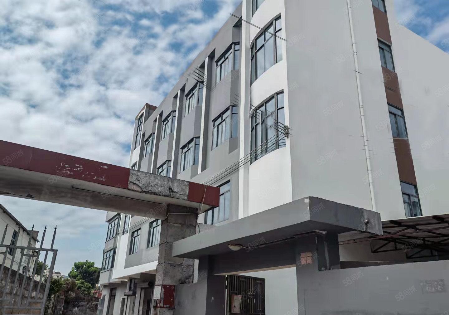 龙岗区平湖华南城新木高新技术产业园整栋精装厂房业主直租