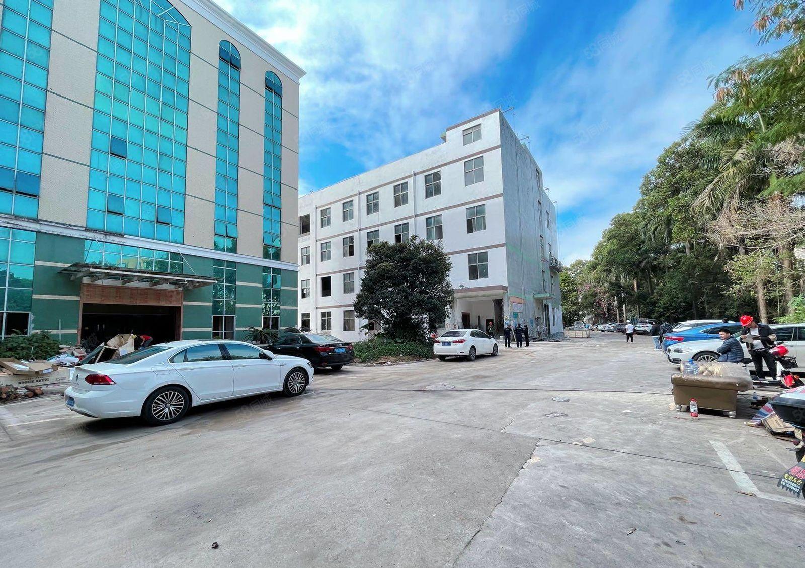 坂田雪象工业园厂房仓库单层2600平米大小分租出租