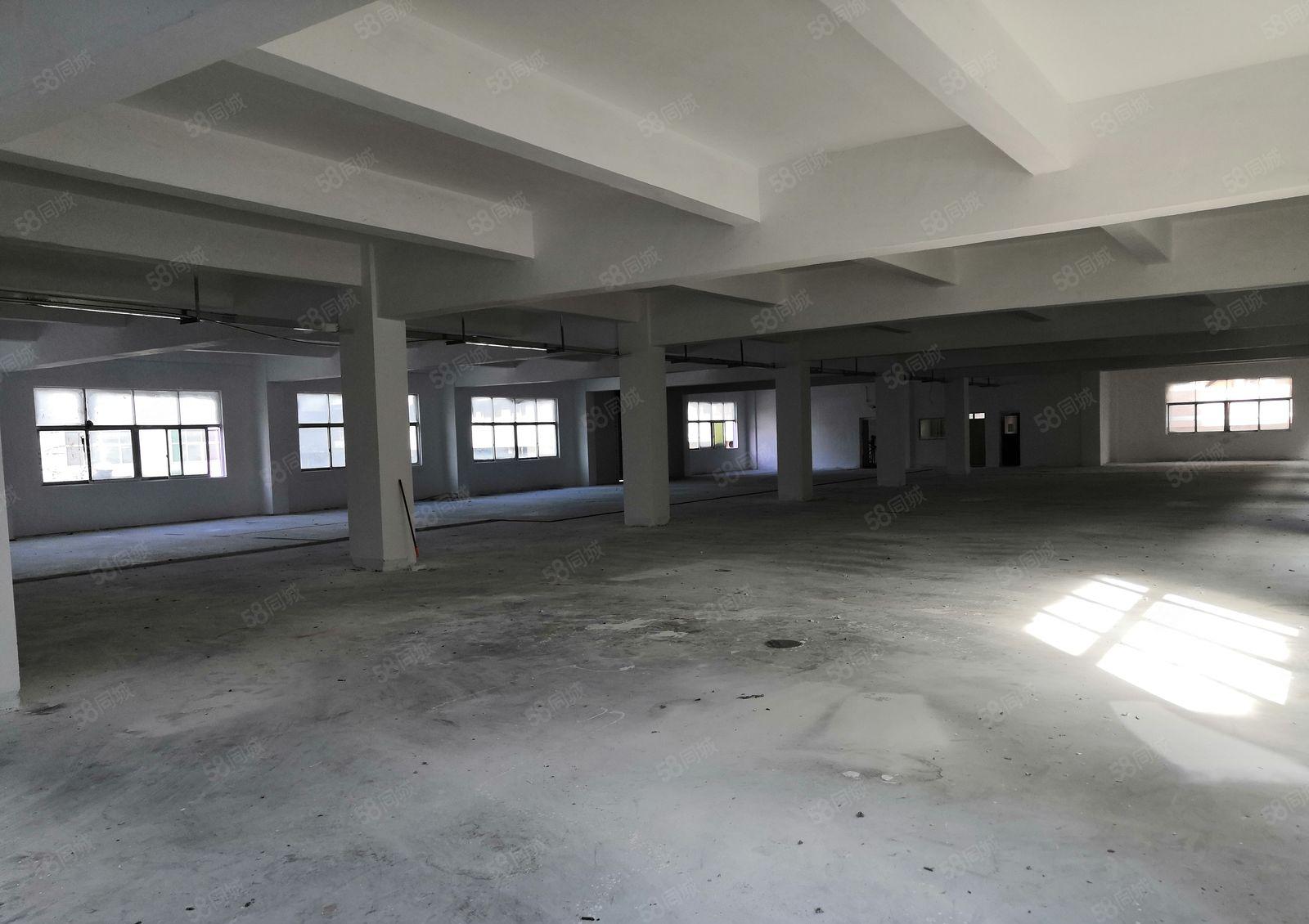 宝龙一楼厂房1800平方米电可提供400kvA可分租