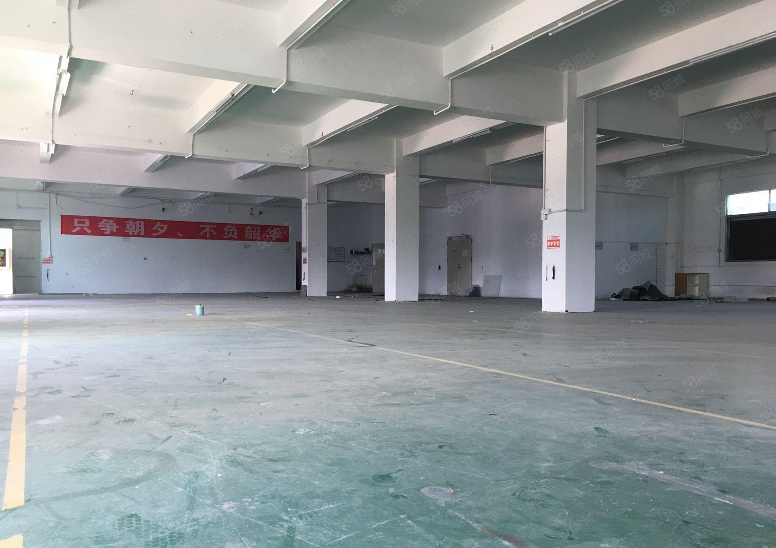 平湖新木工业园独院2百平5百平8百平1千平仓库厂房出租可分租