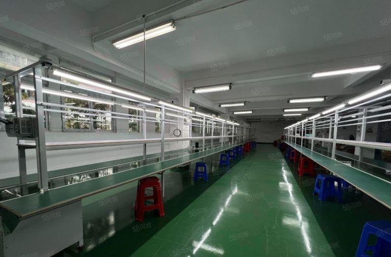 独栋厂房出租龙岗龙东1800精装修无尘车间红本仓库一楼上分租