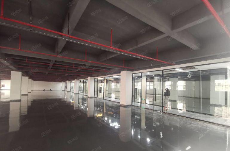 坂田地铁D口1000平电商园厂房出租 可做办公仓库