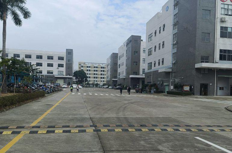 龙岗新出1000平至8000平一二楼厂房仓库出租独院大小分租