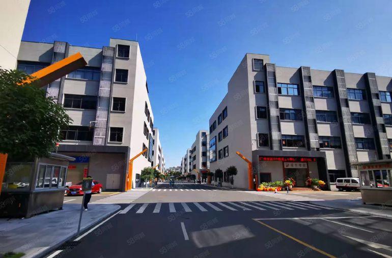 横岗六约大型电商园楼上500平现成装修办公室仓库厂房出租