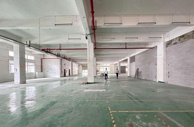 龙岗南联工业区一楼3000平仓库厂房出租 300平起租