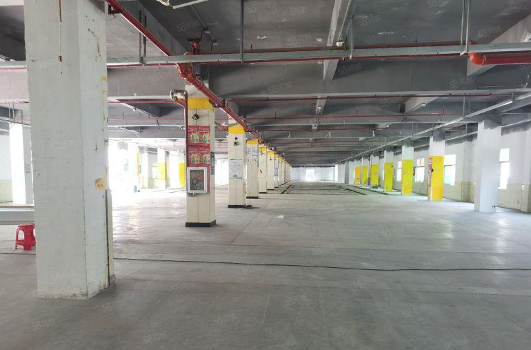 龙岗龙东地铁口独院厂房仓库3300平出租可办环评场地大易招工