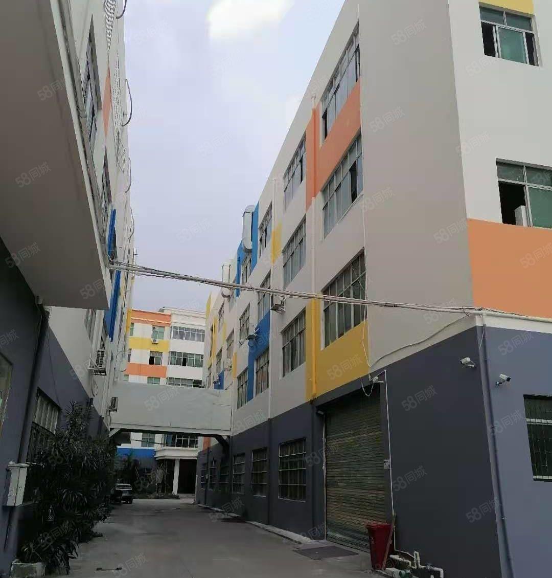 横岗安良新出1350平方带装修厂房出租