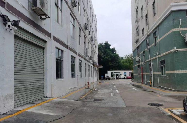 低价坂田岗头200平300平500平包装修仓库办公出租