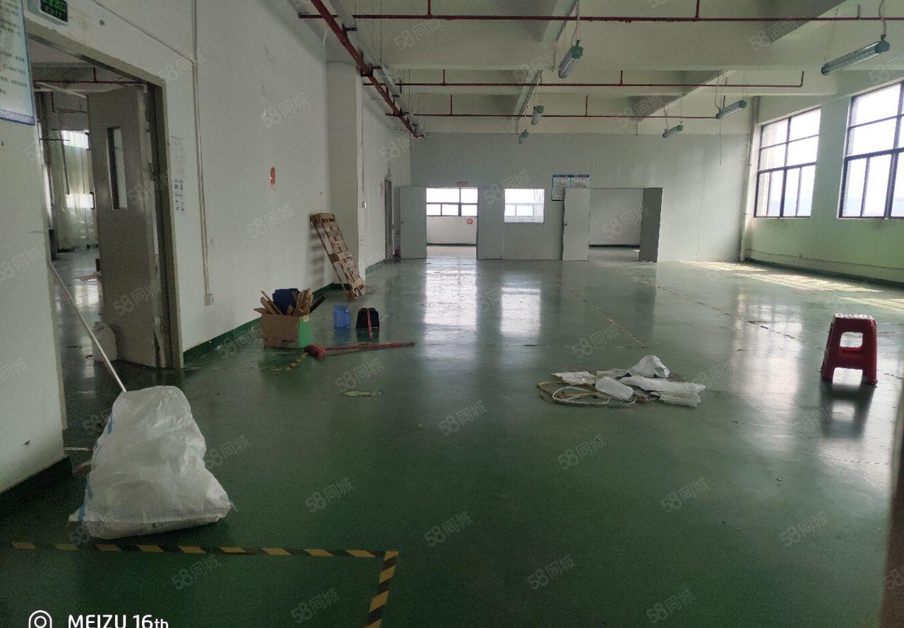 龙岗区坂田雪象地铁站附近工业园新出一二楼标准厂房2000平