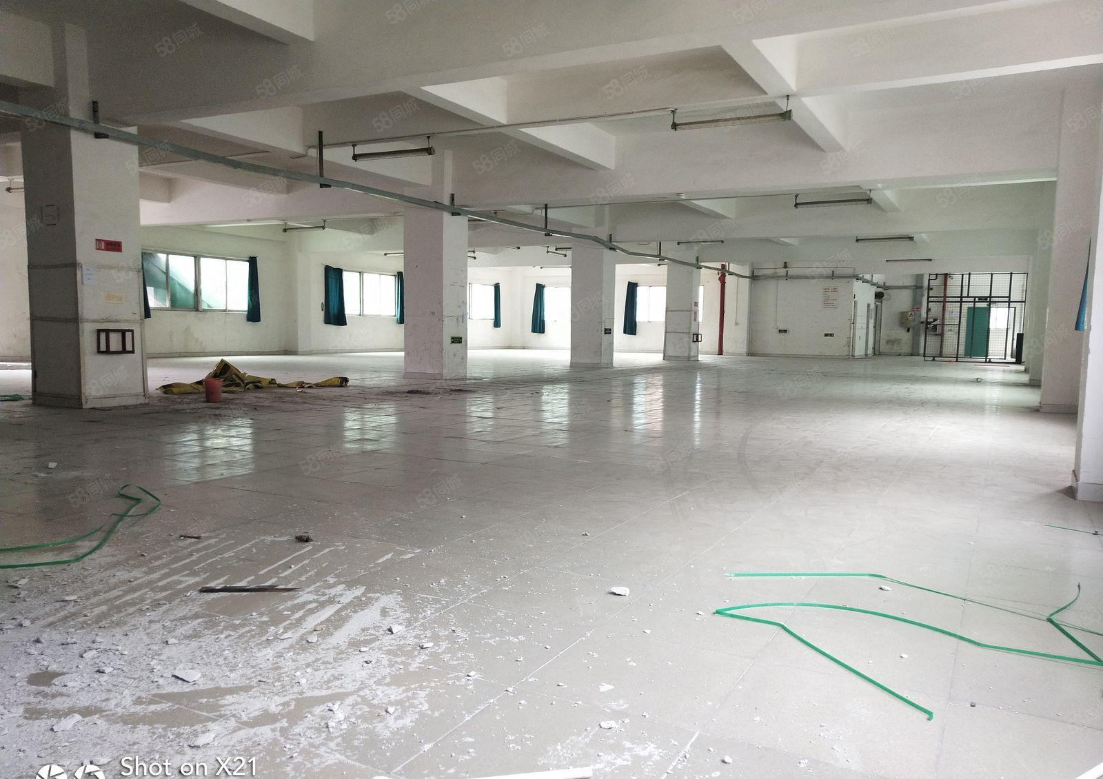 华南城附近标准独院厂房3300平米招租，可分租1100平米