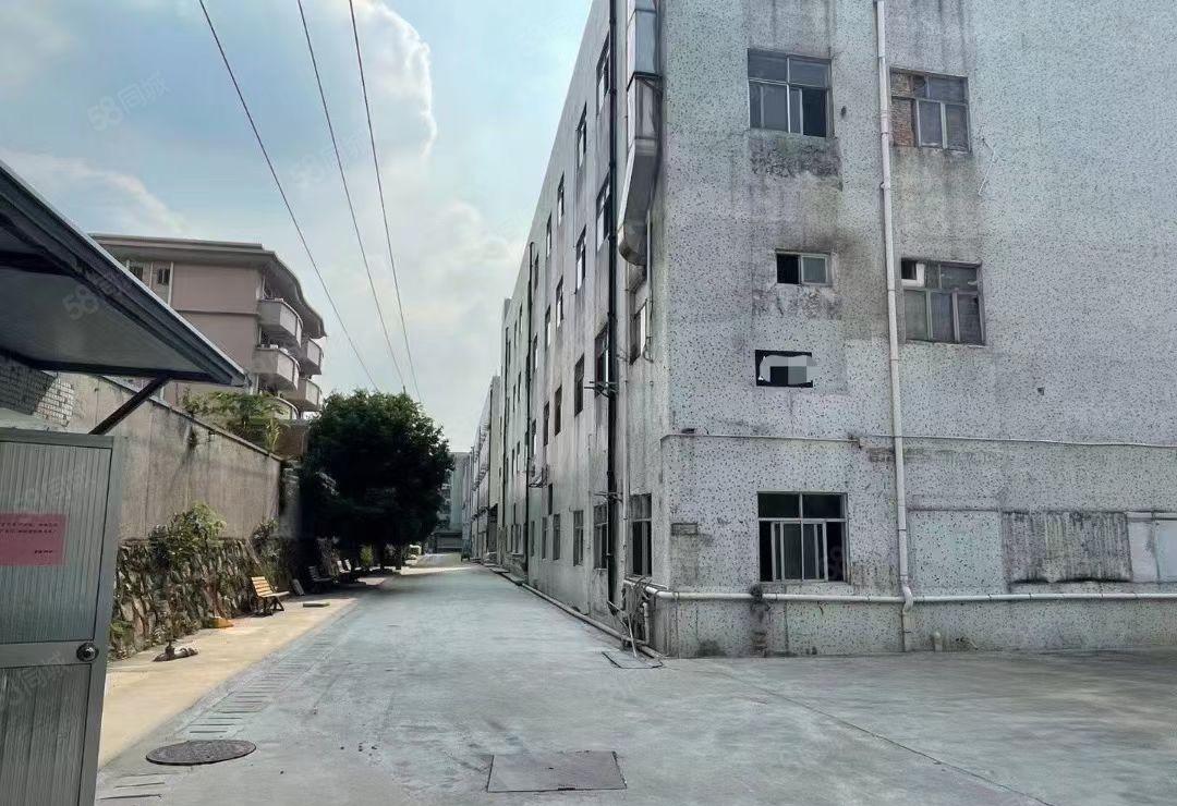 塘坑地铁站200米一楼厂房招租