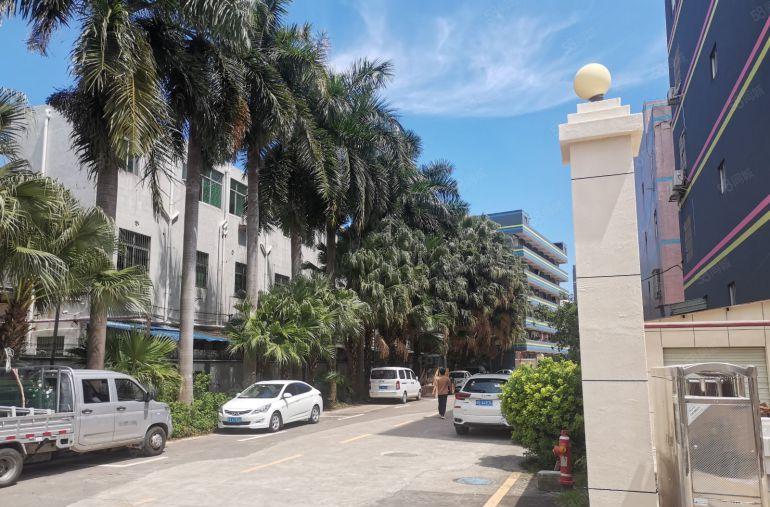 横岗六约塘坑珠宝厂房1200平方米招租