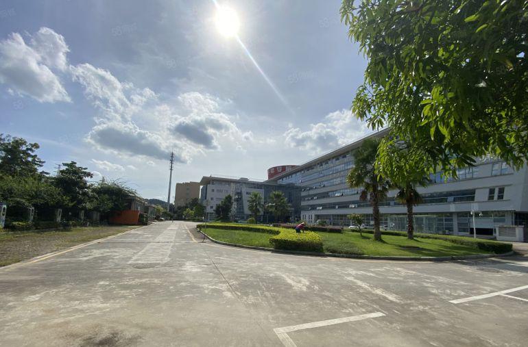 年底低价笋盘一手房东龙岗花园式工业区新出2000平厂房出租