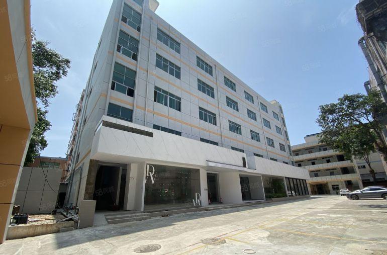 超长免租村委直租龙岗新出4000平经典小独院精装仓库厂房出租