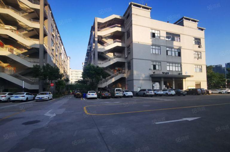 龙岗中心城工业园新空出2000平方厂房仓库低价出租