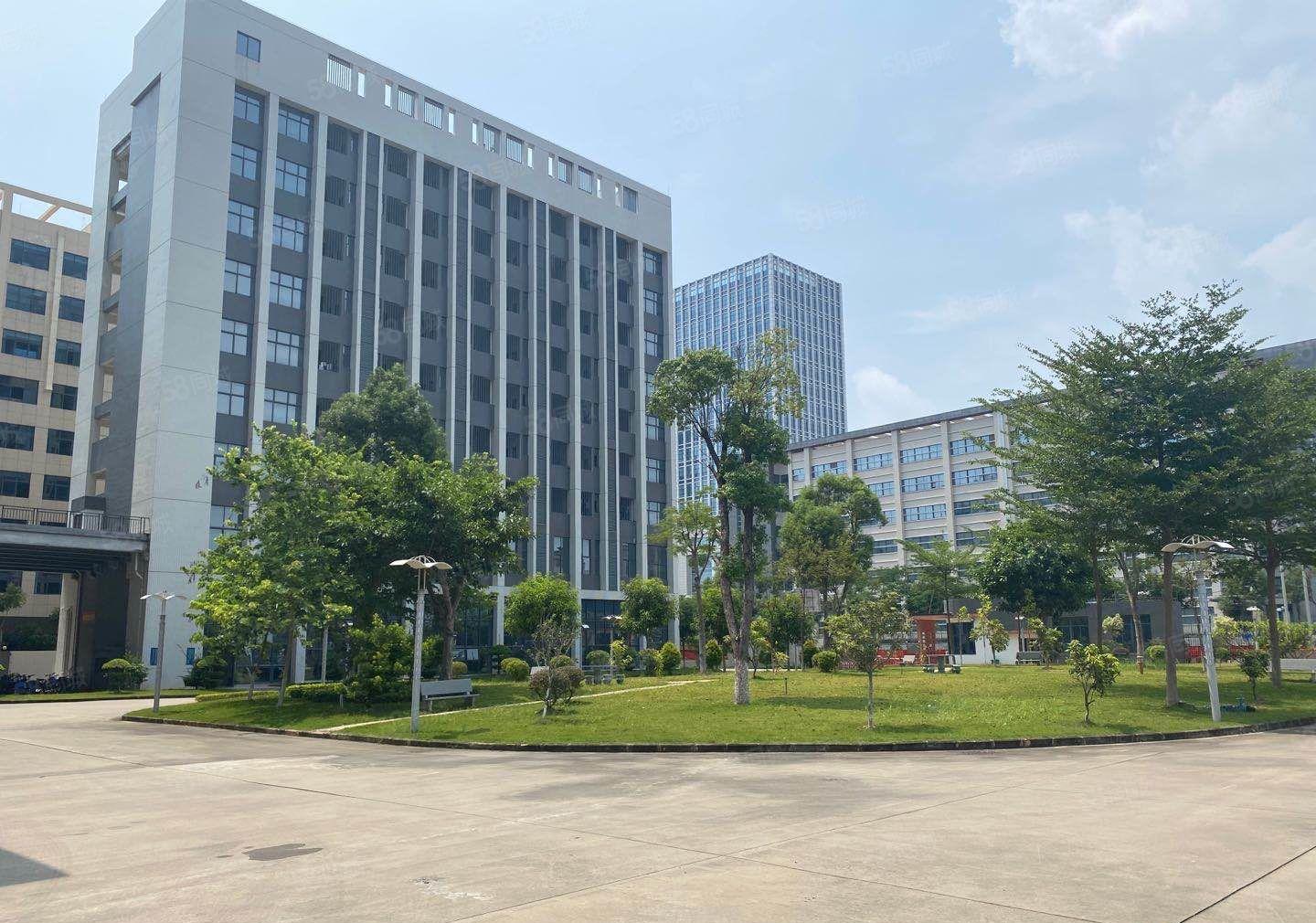 横岗荷坳新出2000平厂房仓库出租可分租一半带装修交通便利