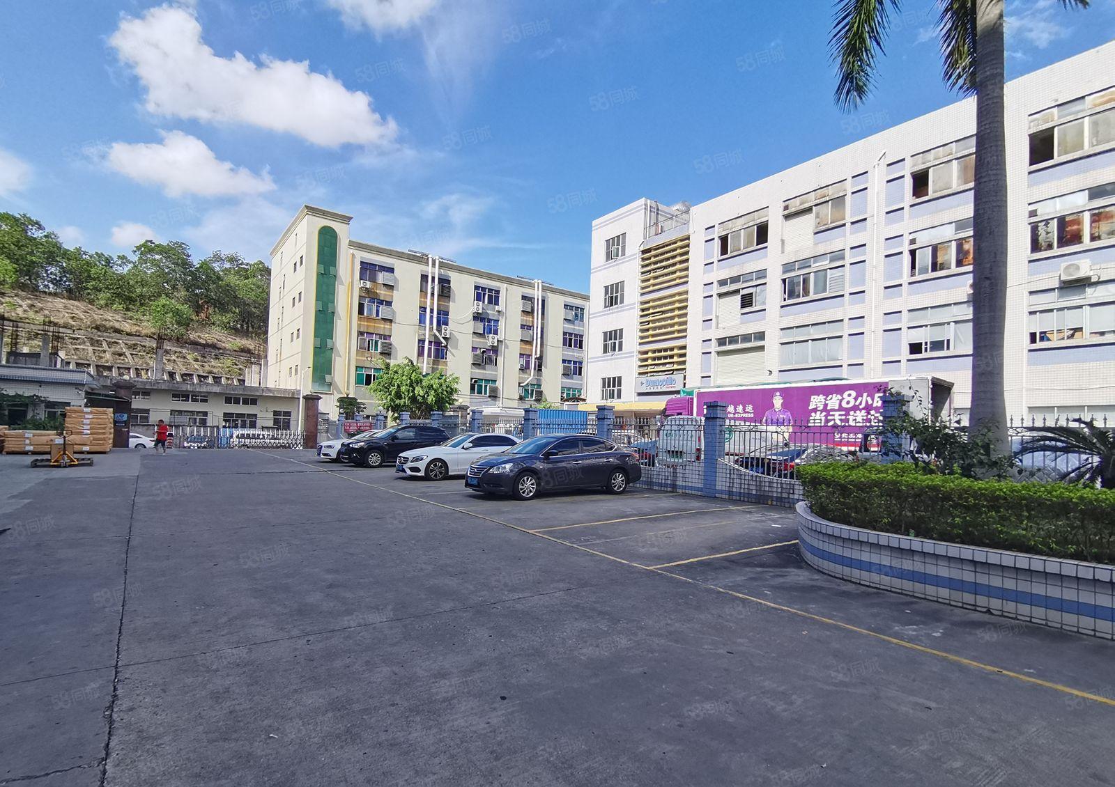 平湖华南城旁原房东100平起分租独院6千平厂房仓库低价出租转