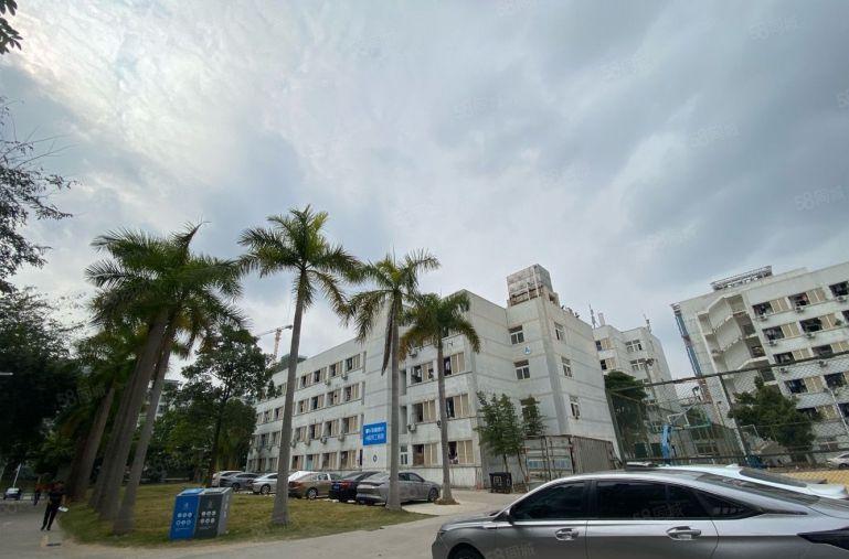 龙岗独院一楼低价仓库厂房出租1500平工业产业园可整栋可合租