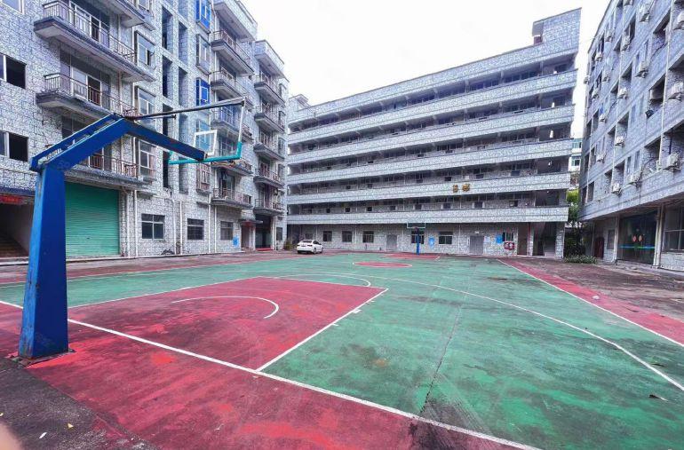 深圳龙岗一楼红本厂房出租原房东1万平米