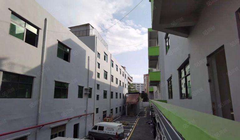 横岗六约小面积电商珠宝厂房60至600平方米招租