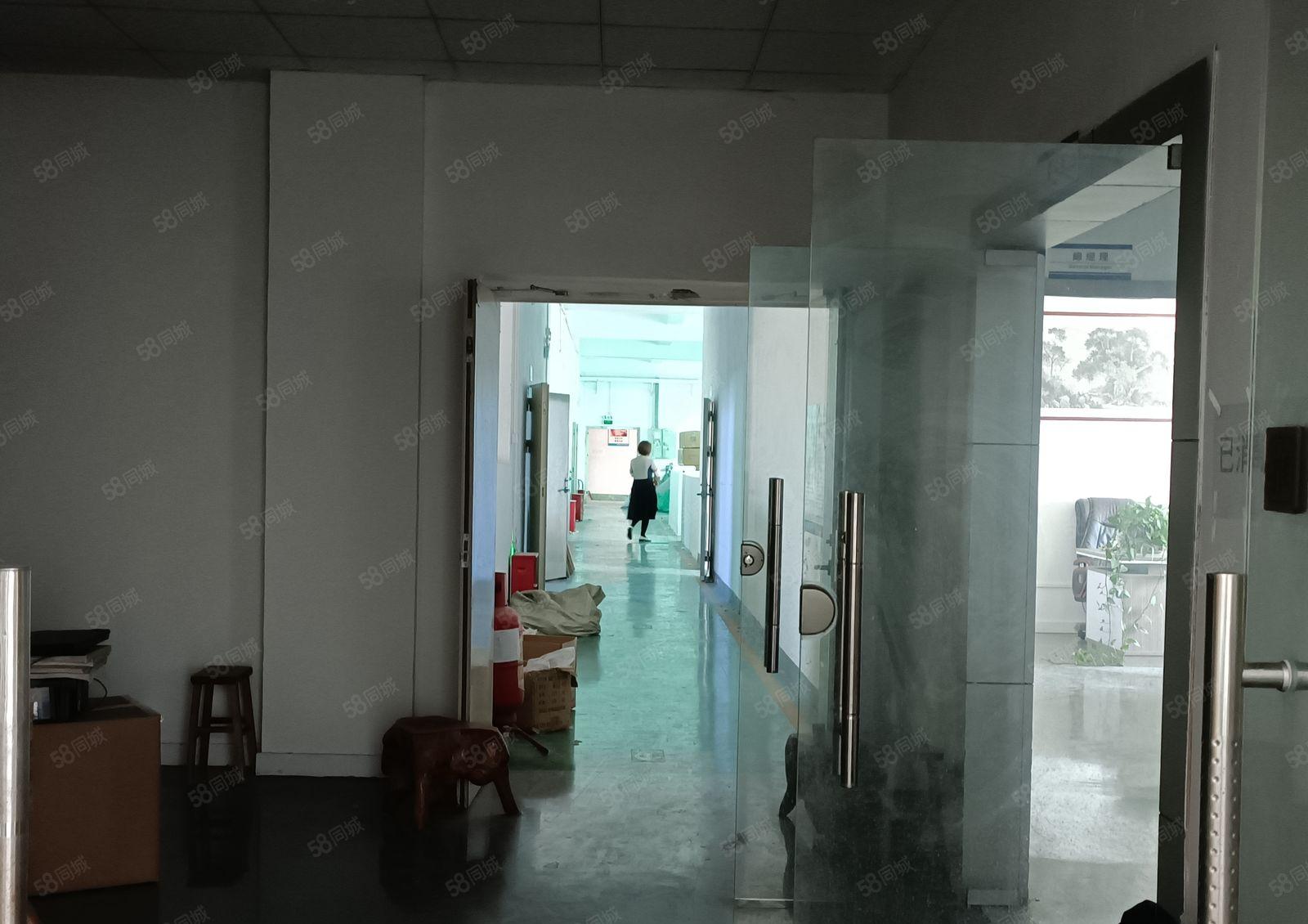 龙岗新生文化广场 二楼1200平米带装修出租