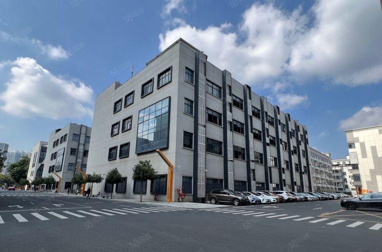 300平起分花园式宝龙科技园1500平方精装办公仓库厂房出租