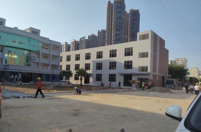 龙岗新生工业电商园1000平低价一楼厂房出租100起分租厂房