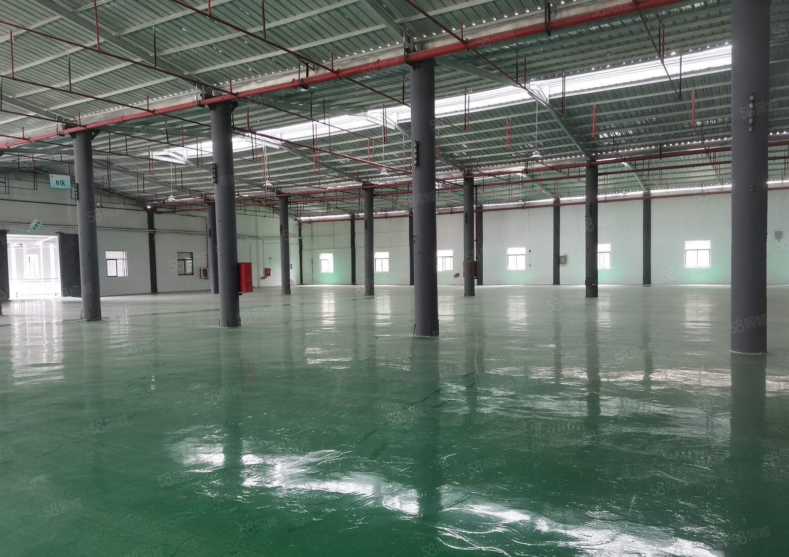 坪地富地工业园区原房东红本钢结构5000平方！滴水8米可分租