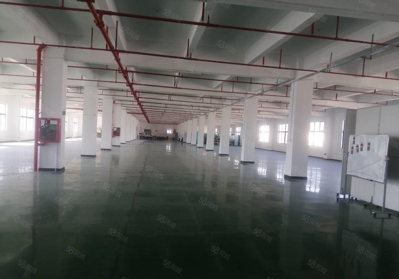 原房东高新产业园10500平精装修全新地坪漆厂房招租一楼6米