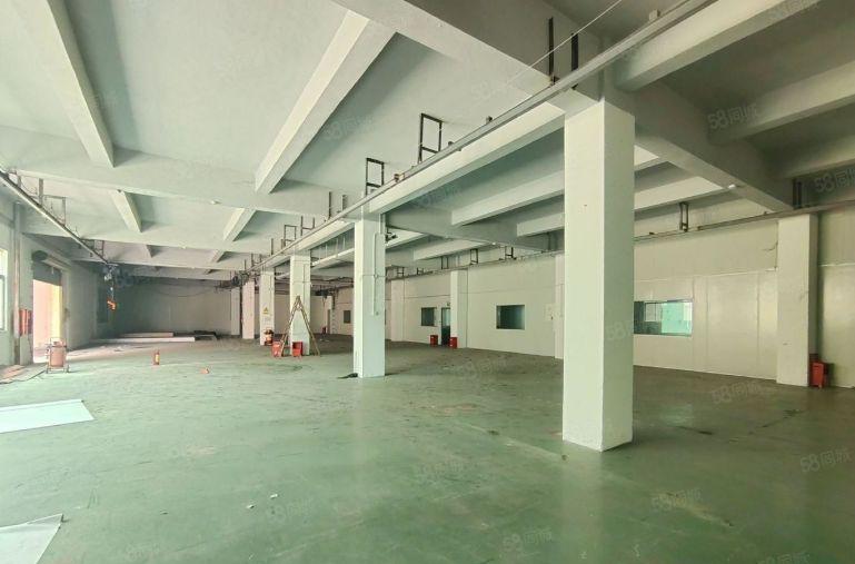 原房东无公摊！龙岗宝龙一楼新出2千平厂房仓库出租5百平起分租