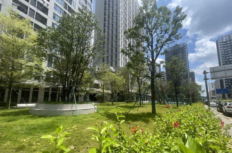 开发商实际面积出租，龙岗区园山新型生物医药厂房，带有废水排放