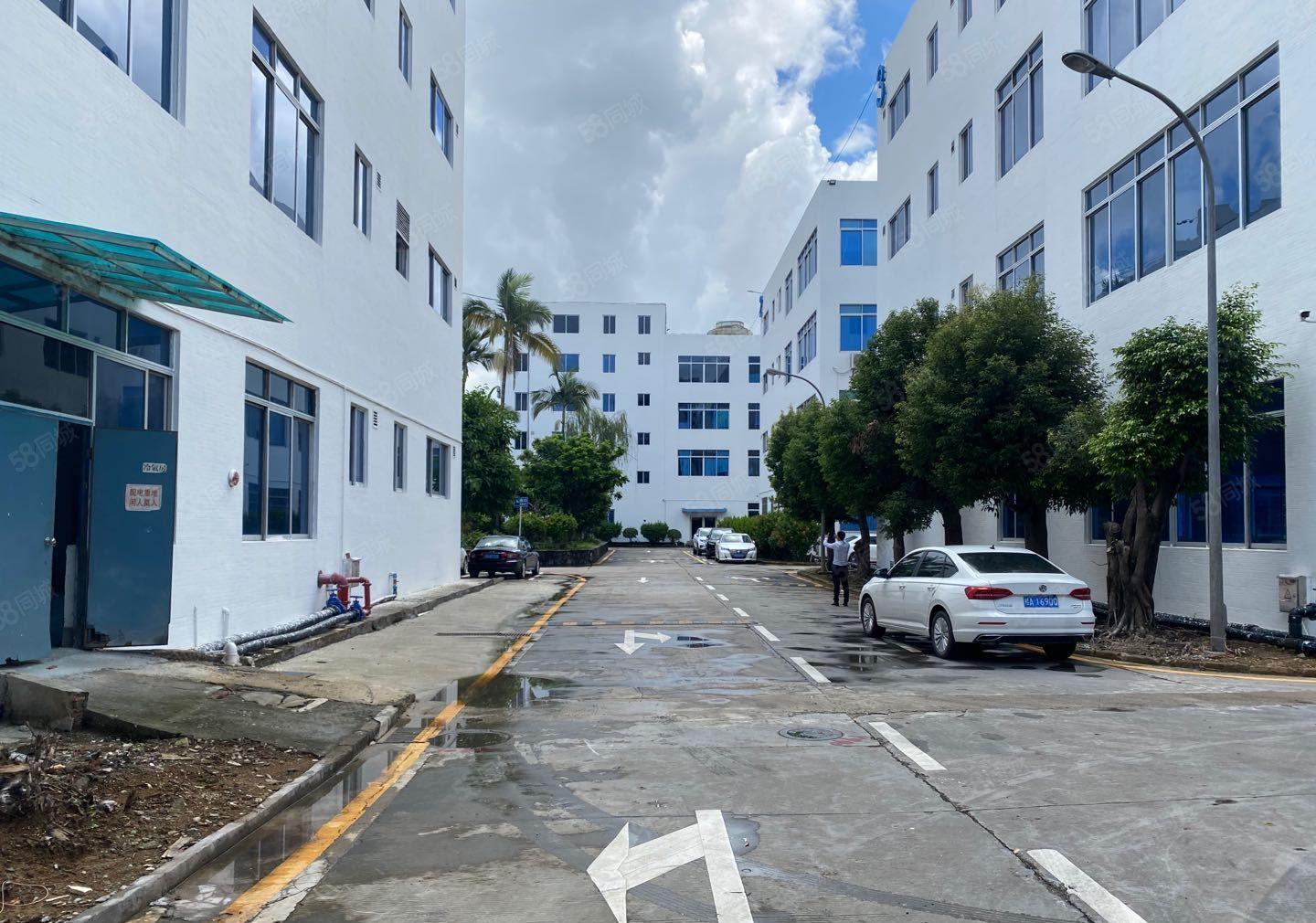 坂田雪象独栋5000平精装修厂房出租适合电商仓库可分租