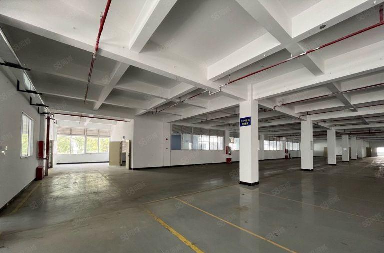 平湖华南城旁1000平电商产业园厂房仓库低价出租200起分租