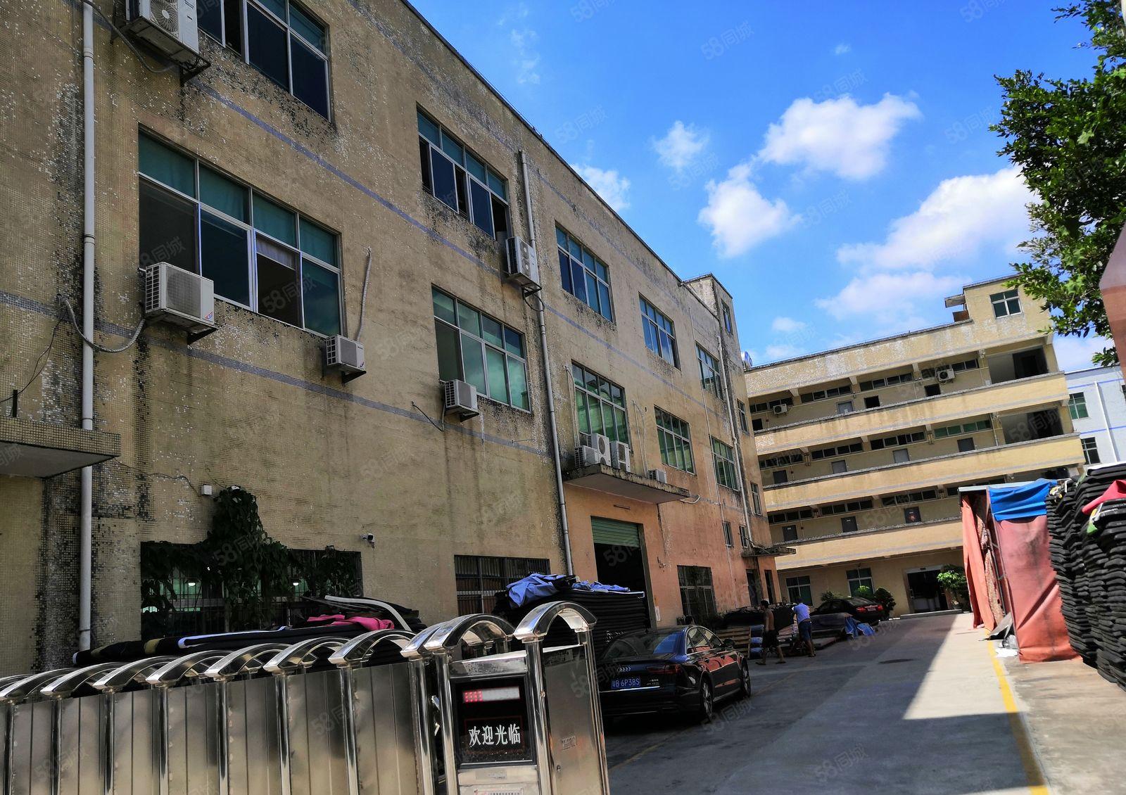 龙岗镇同乐二楼650平方三楼1200平方分租价格15元