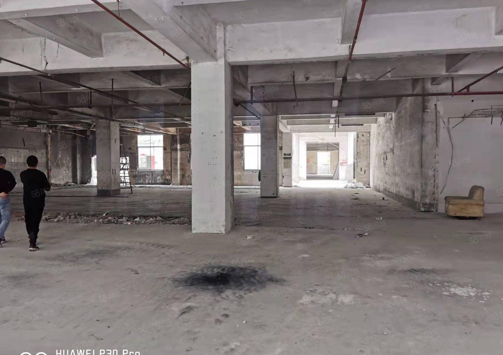 坂田雪象，整栋11500平方，可以分租，一共4层！