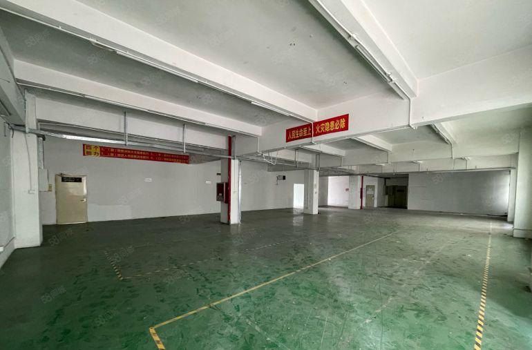 稀有房源！近坂田地铁口1000平厂房带装修出租！