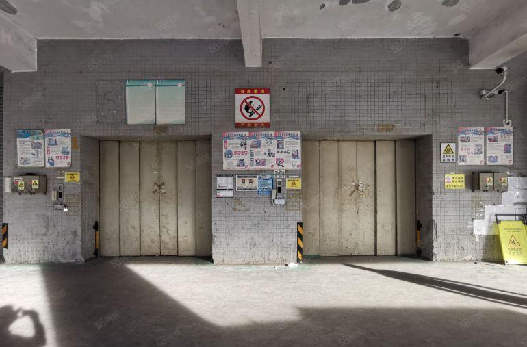 坂田大型物流园整层2600平5吨货梯超大空地卸货平台大小可分