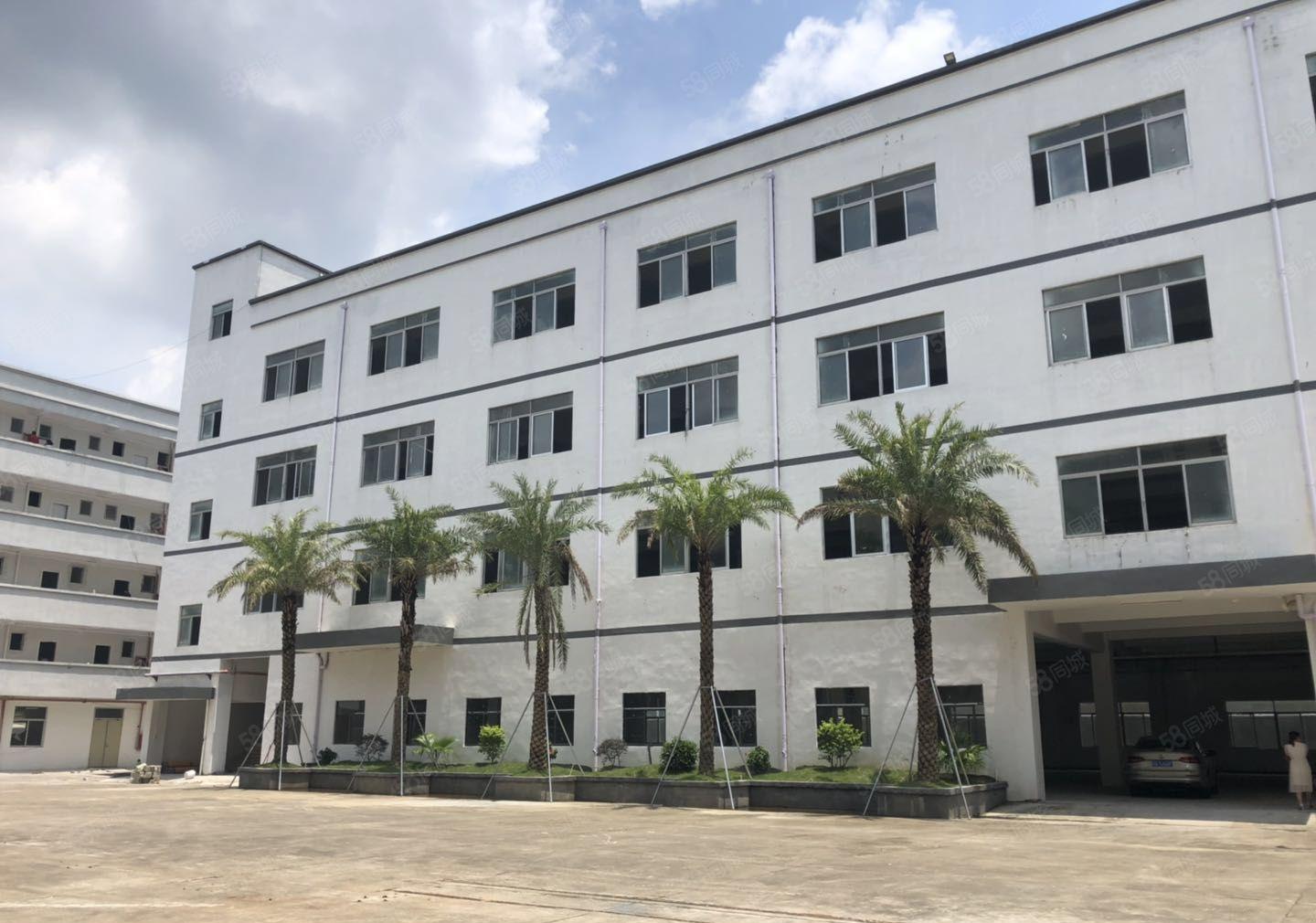 合同十年！嶂背市场边新空出原房东红本独院5800平方厂房出租