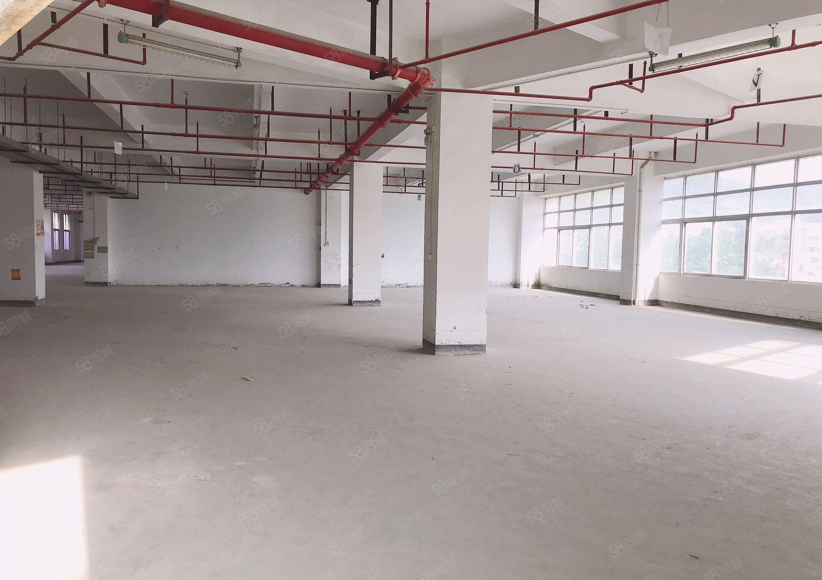 大康社区新出工业园带装修850平厂房仓库出租，空地大