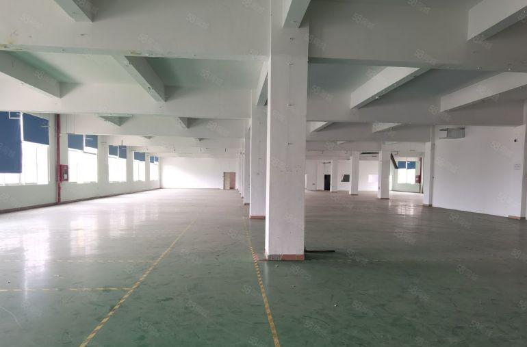 龙岗中心城新生工业区独院厂房2000平可分租可办环评易招工