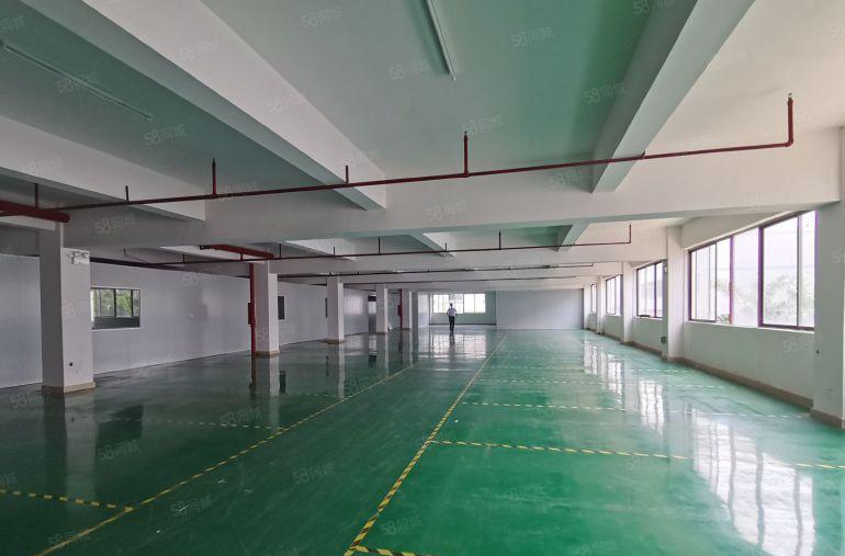 平湖禾花地铁口原房东2000厂房仓库出租200起可分租带装修