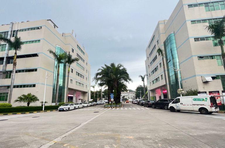 坂田原房东1000平带装修红本厂房仓库低价出租 300平起租