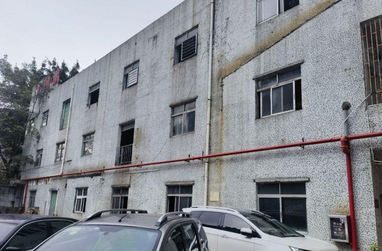 龙岗新生龙园大观新生路一楼700平整层可以分租一半