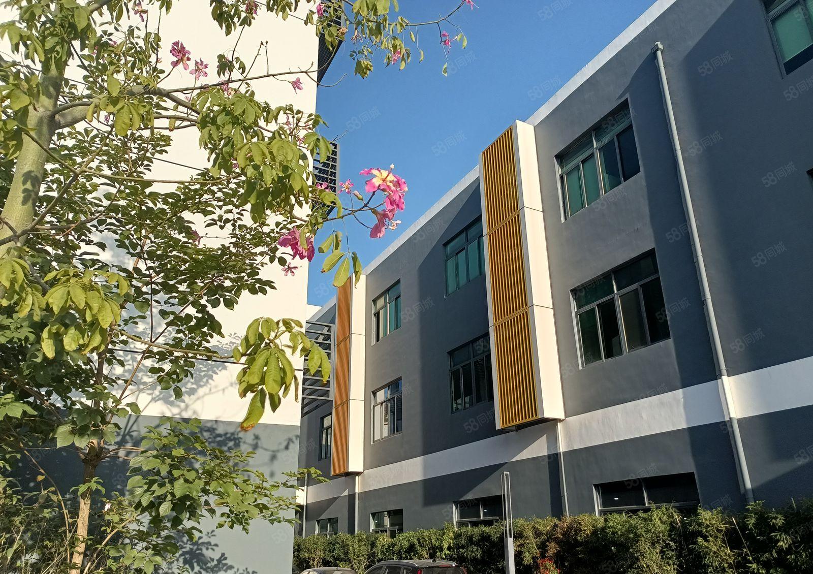 龙岗平湖华南城高新技术产业园全新装修整栋4650平米厂房出租