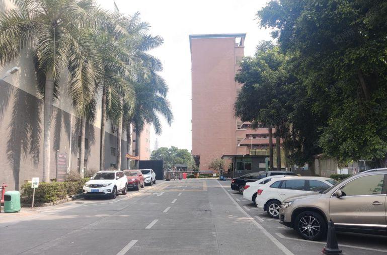 平湖辅城坳楼上1000平厂房仓库出租，带装修可分租