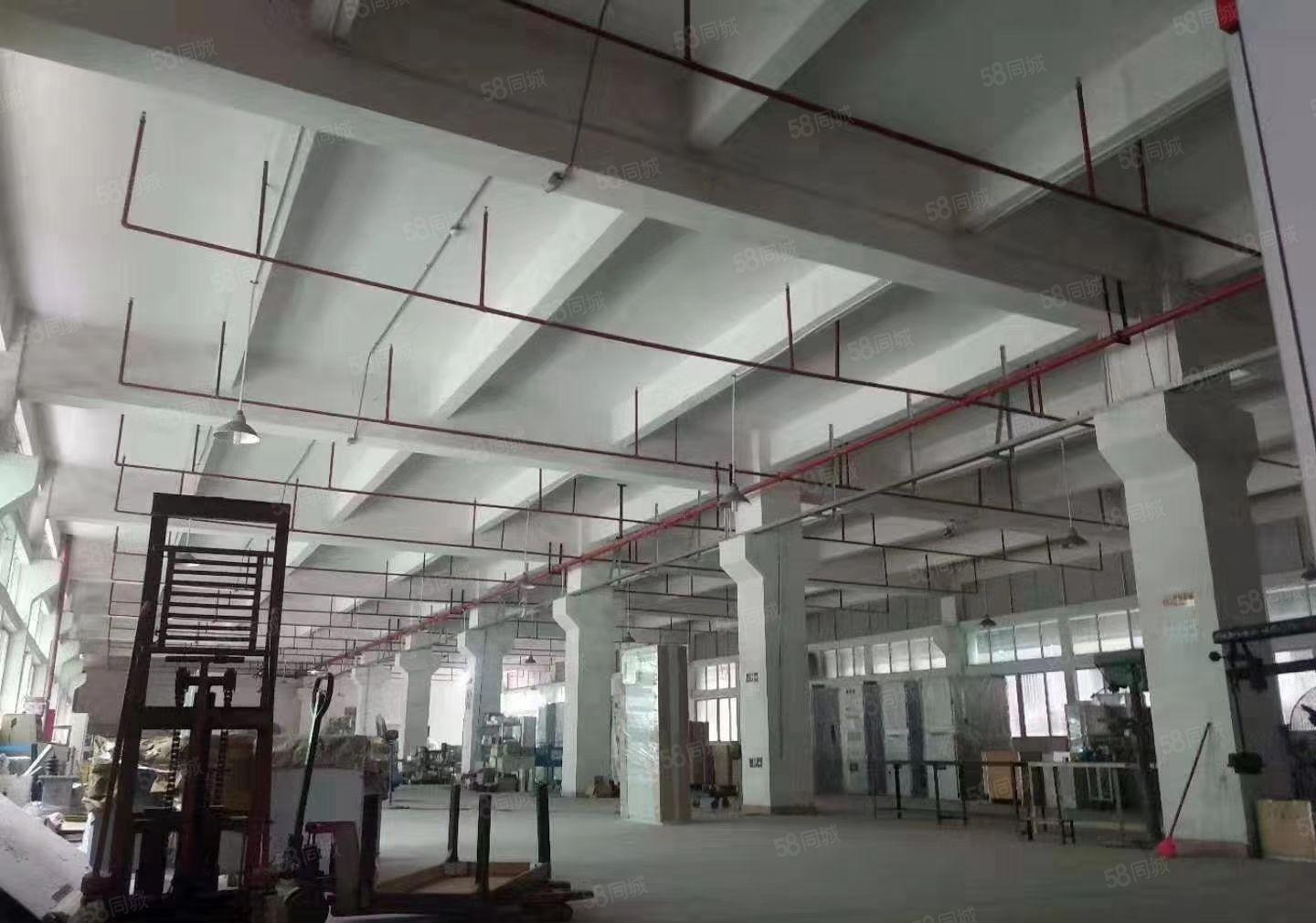 S龙岗中心城独院厂房8000平方，可以任意分租