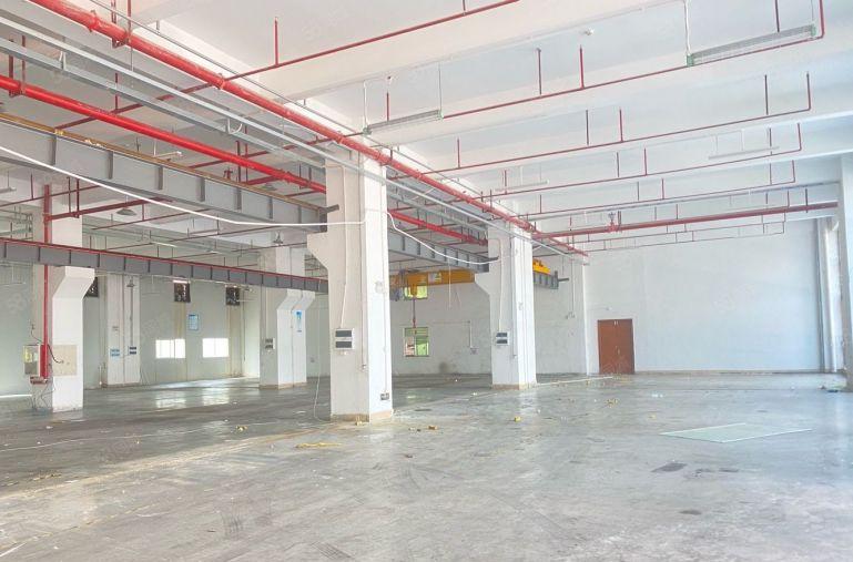 工业园独栋一楼厂房出租仓库办公研发生产租厂房转让独门独院厂房