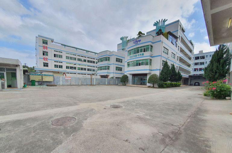 村委直租超长免租期龙岗新出独门独院6000平精装仓库厂房出租