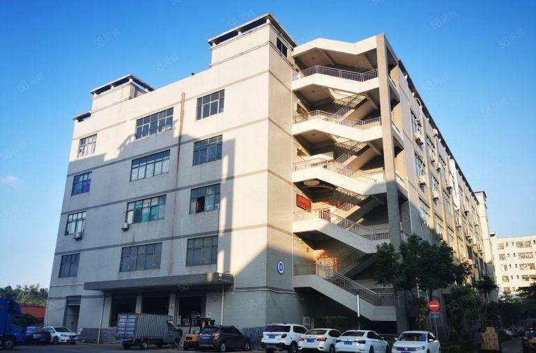 龙岗中心城工业园新空出2000平方厂房仓库低价出租