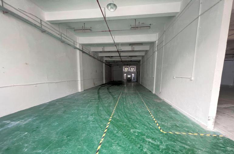 龙岗区中心城一楼300平标准厂房低价出租层高6米空地大原房东